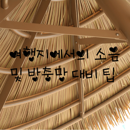 여행지에서의 소음 및 방충망 대비 팁