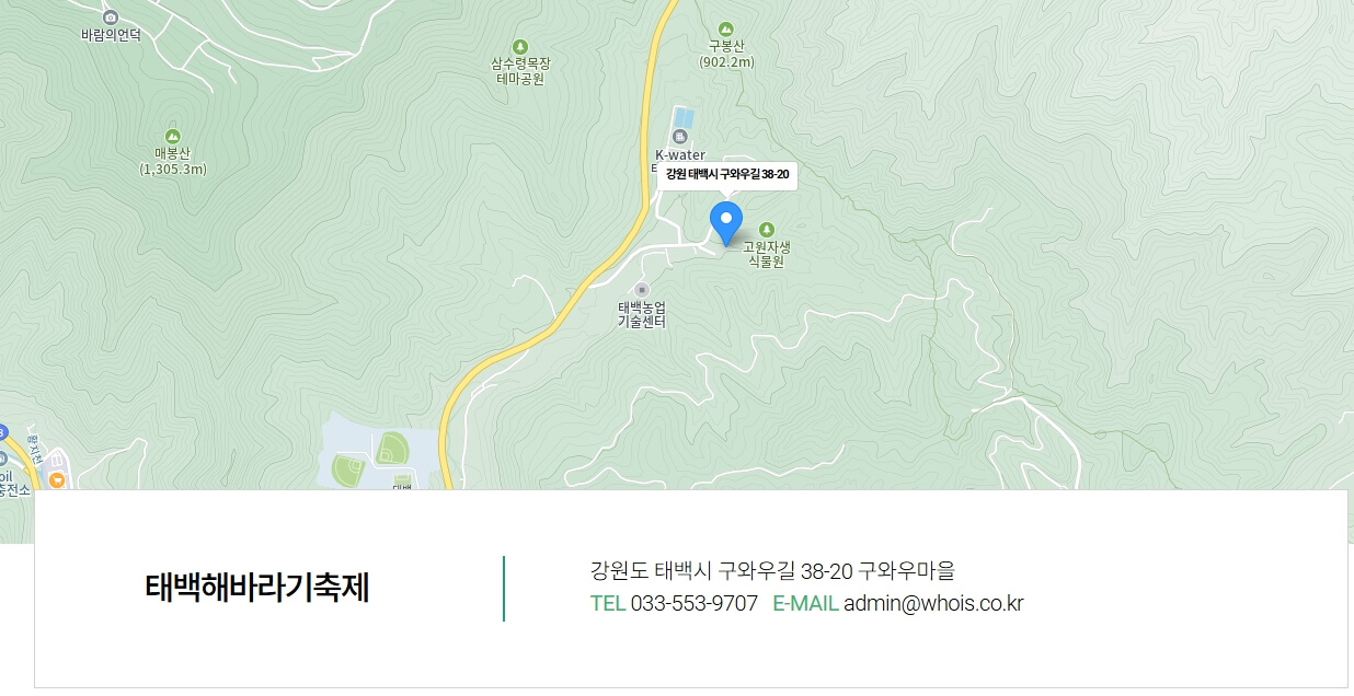 태백 해바라기축제