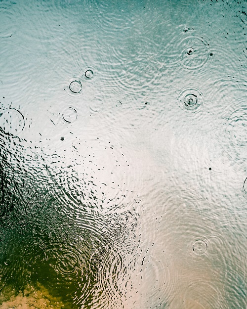 제습기 단점 유해물질