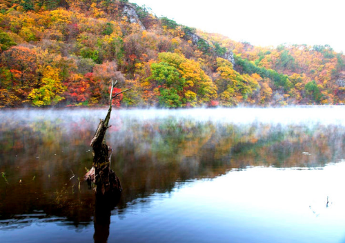 청송 주산지 저수지 사진