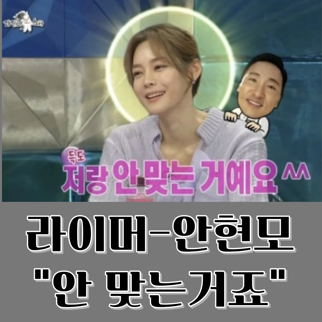 라이머-안현모 이혼,