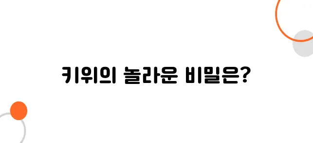 키위 효능 알아보아요