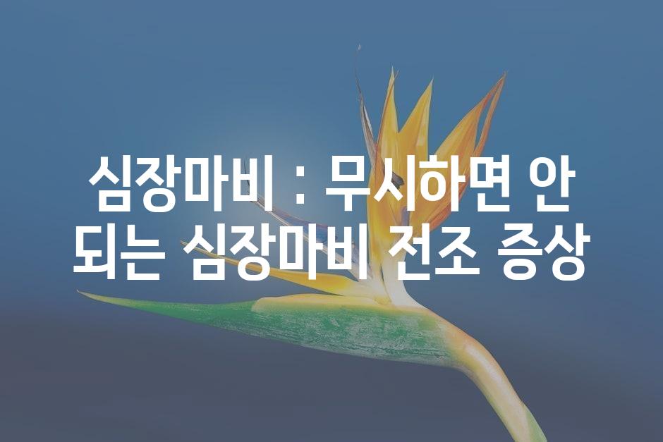샘플 (45)