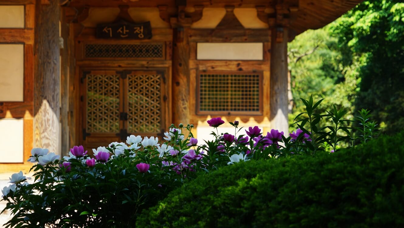 안양 한마음선원 : 내 마음의 주인공을 찾는 여정 대행 선사의 가르침과 수행의 모든 것