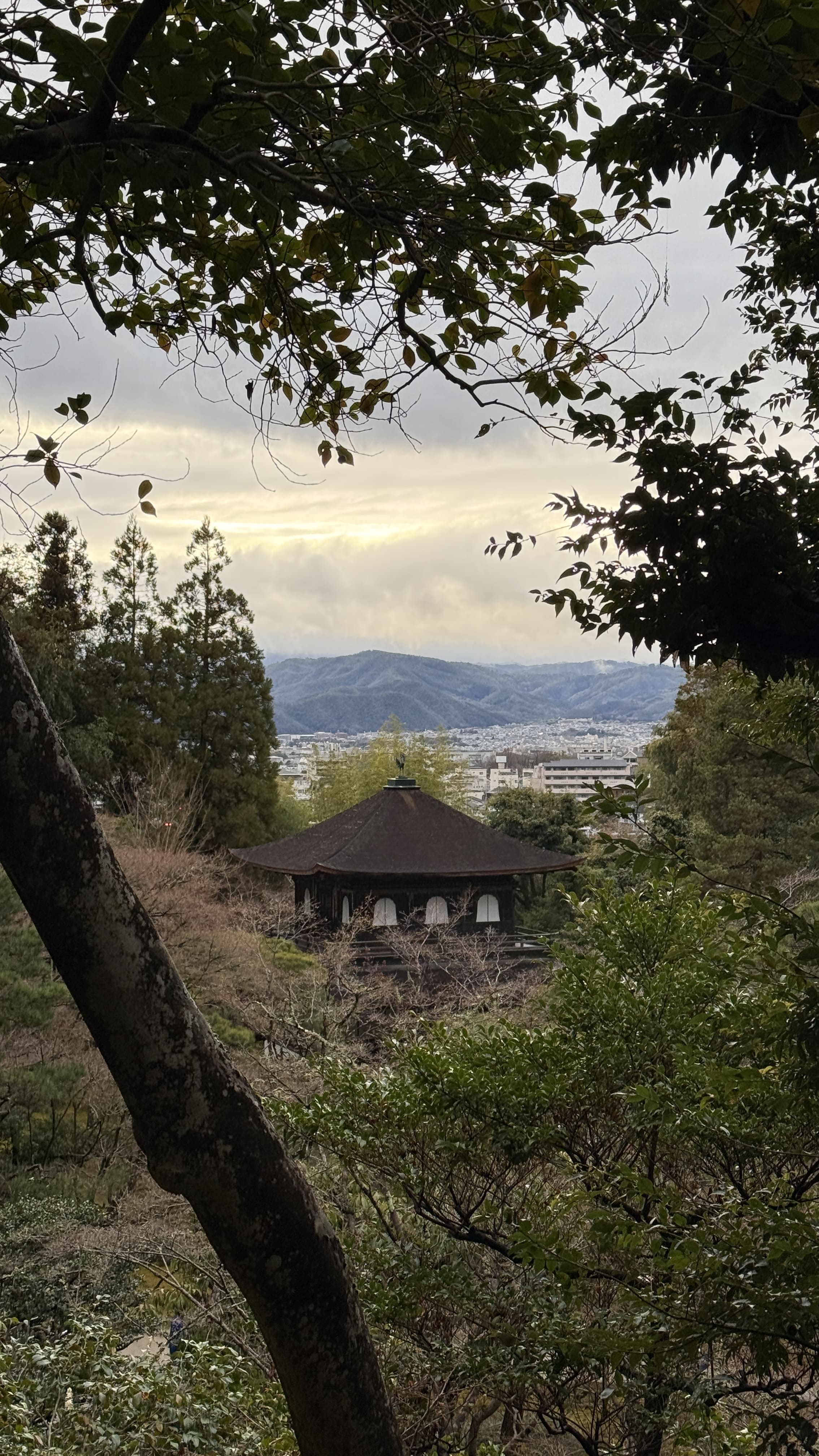 교토-꼭-가봐야-할-곳-교토-은각사-긴카쿠지-조용한-산책-코스-추천