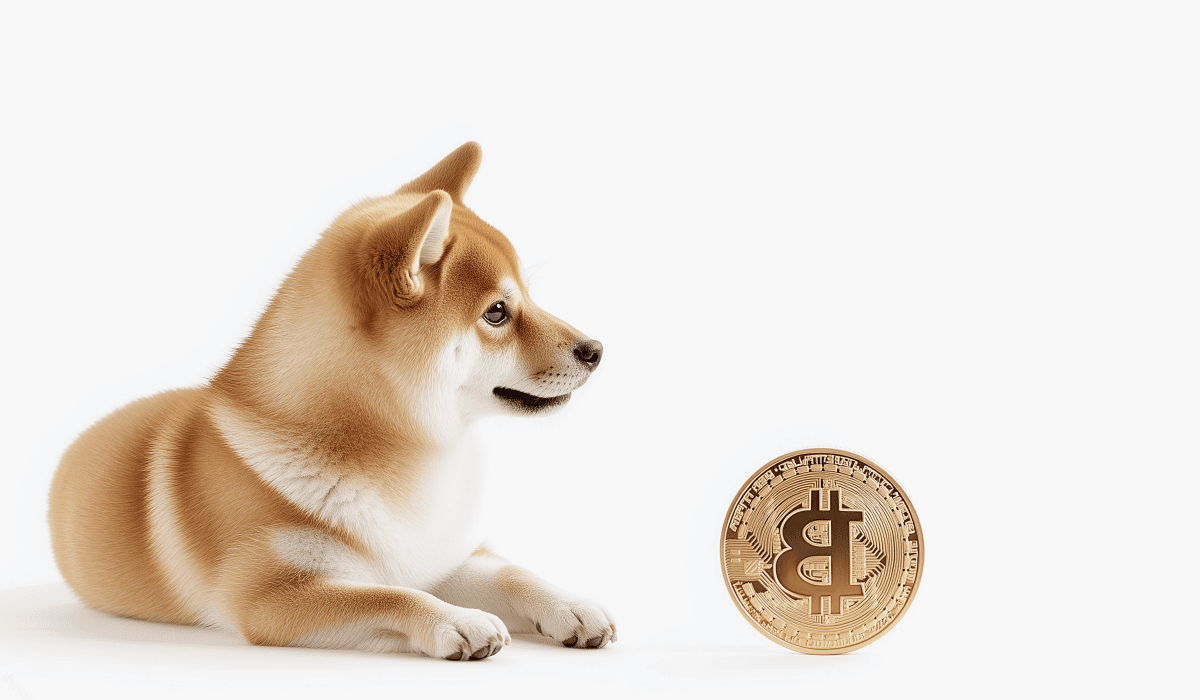 도지코인_시세_18