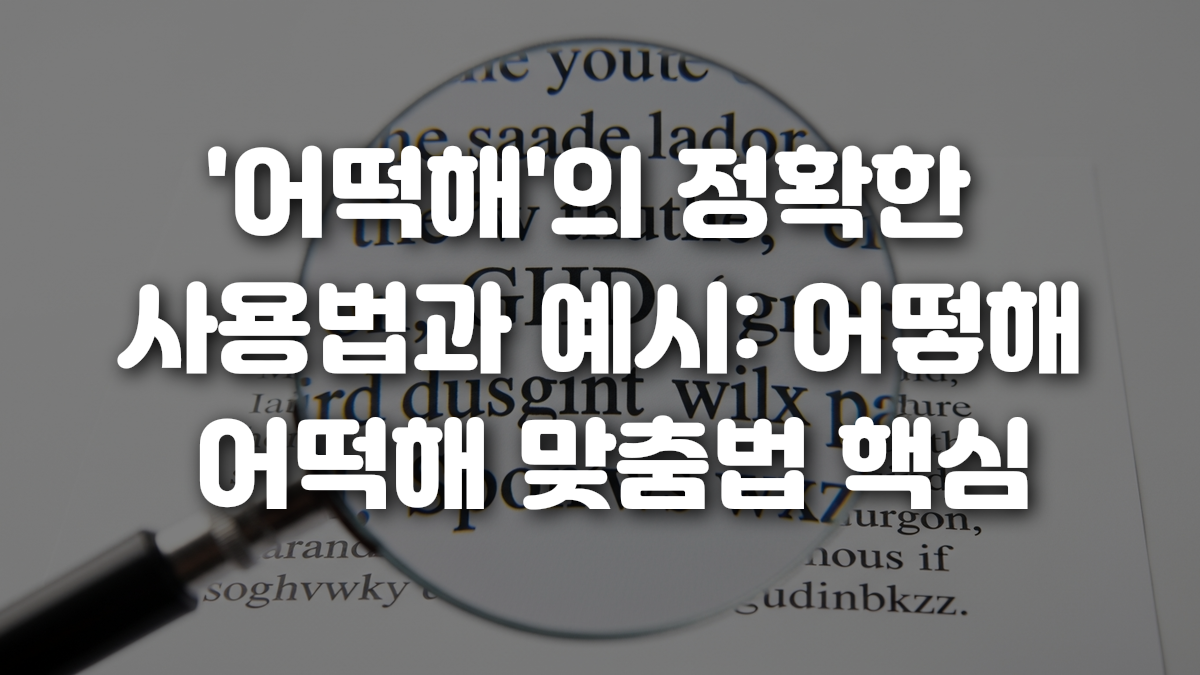 어떡해 의 정확한 사용법과 예시 어떻해 어떡해 맞춤법 핵심