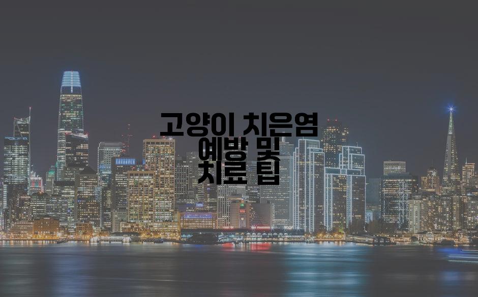 고양이 치은염 예방 및 치료 팁