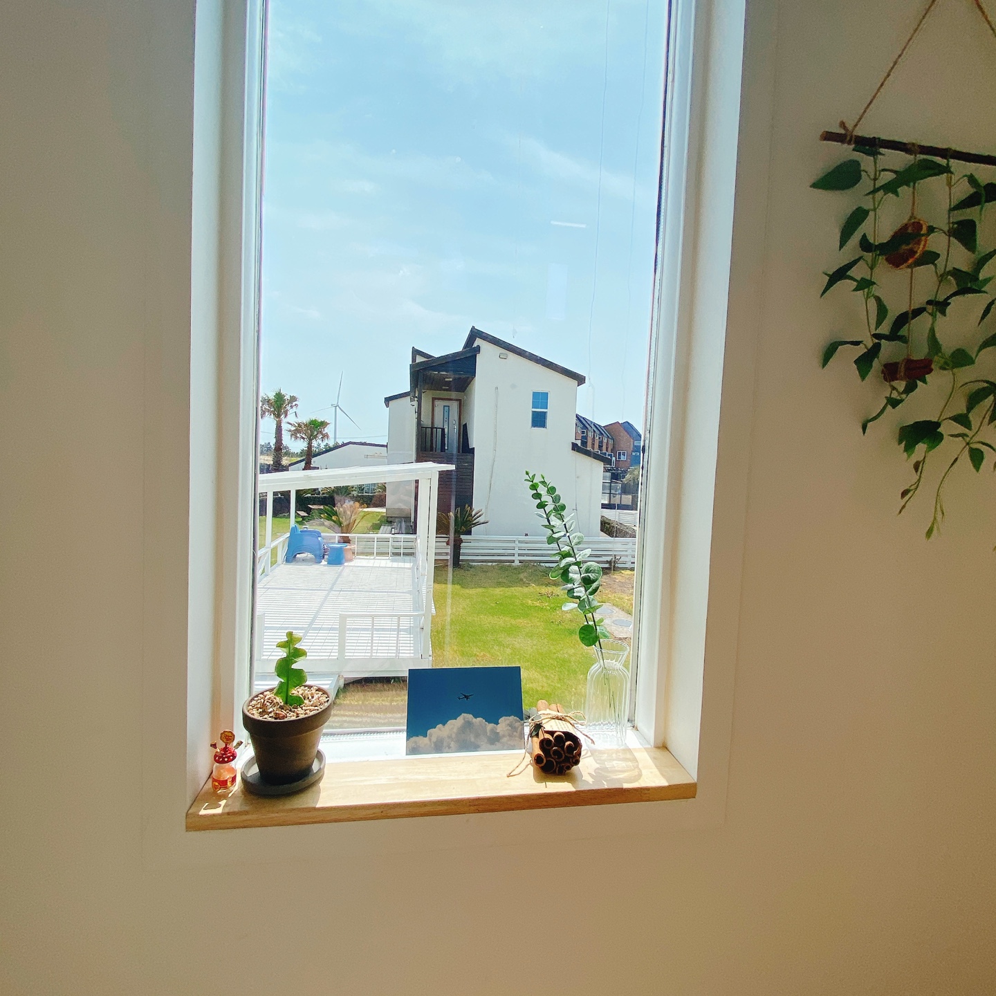 제주 한경 싱계물공원 바다목장 솜사탕 커피 그린구름 카페