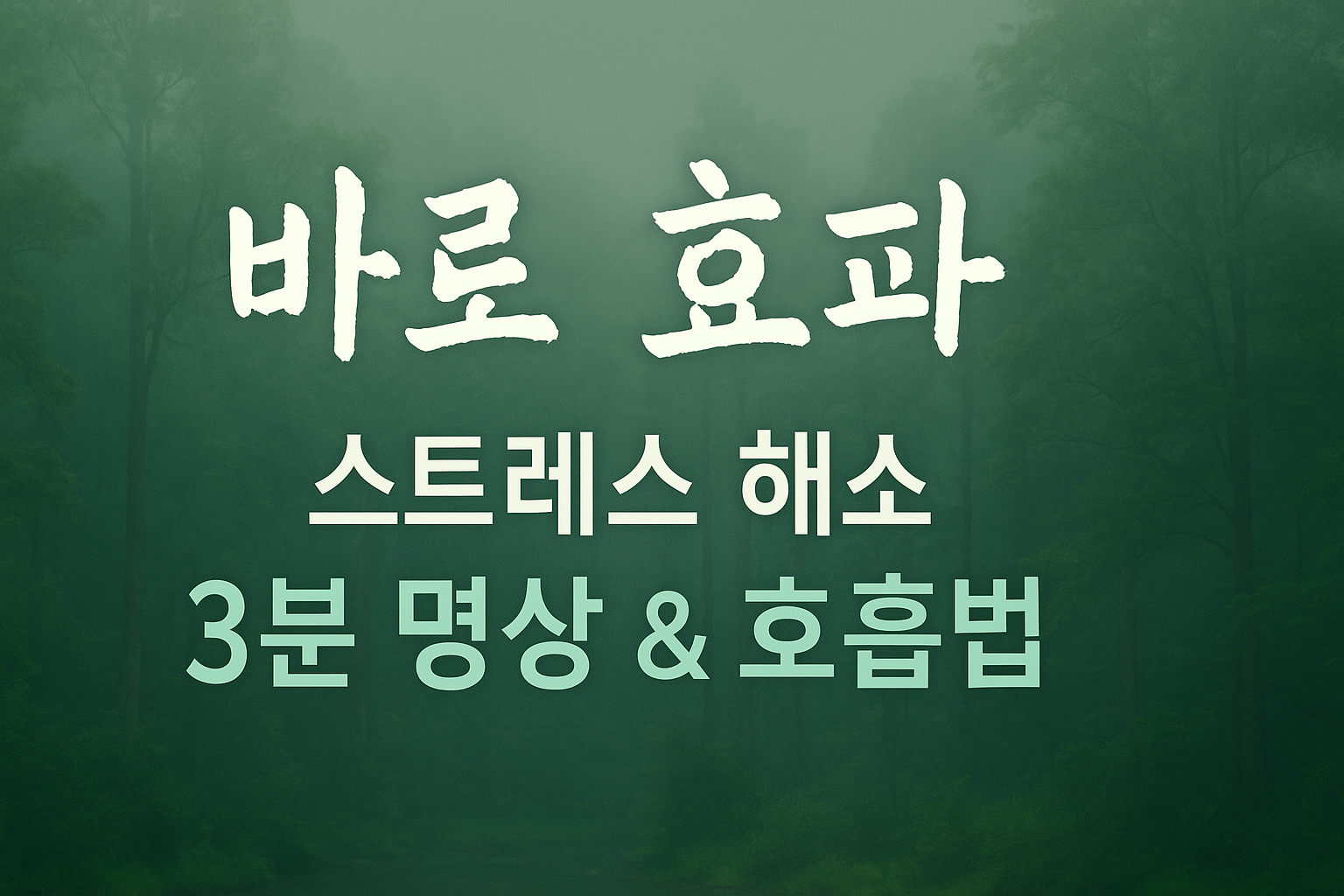 【바로 효과】스트레스 해소 3분 명상 &amp; 호흡법.