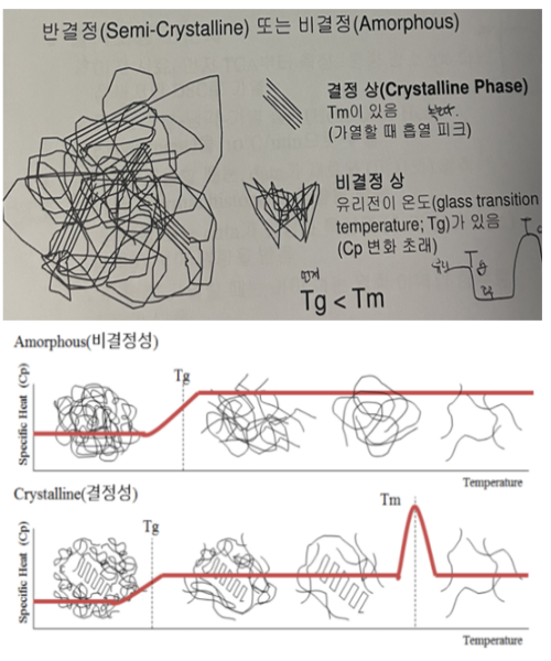 열가소성 고분자의 구조와 DSC 분석