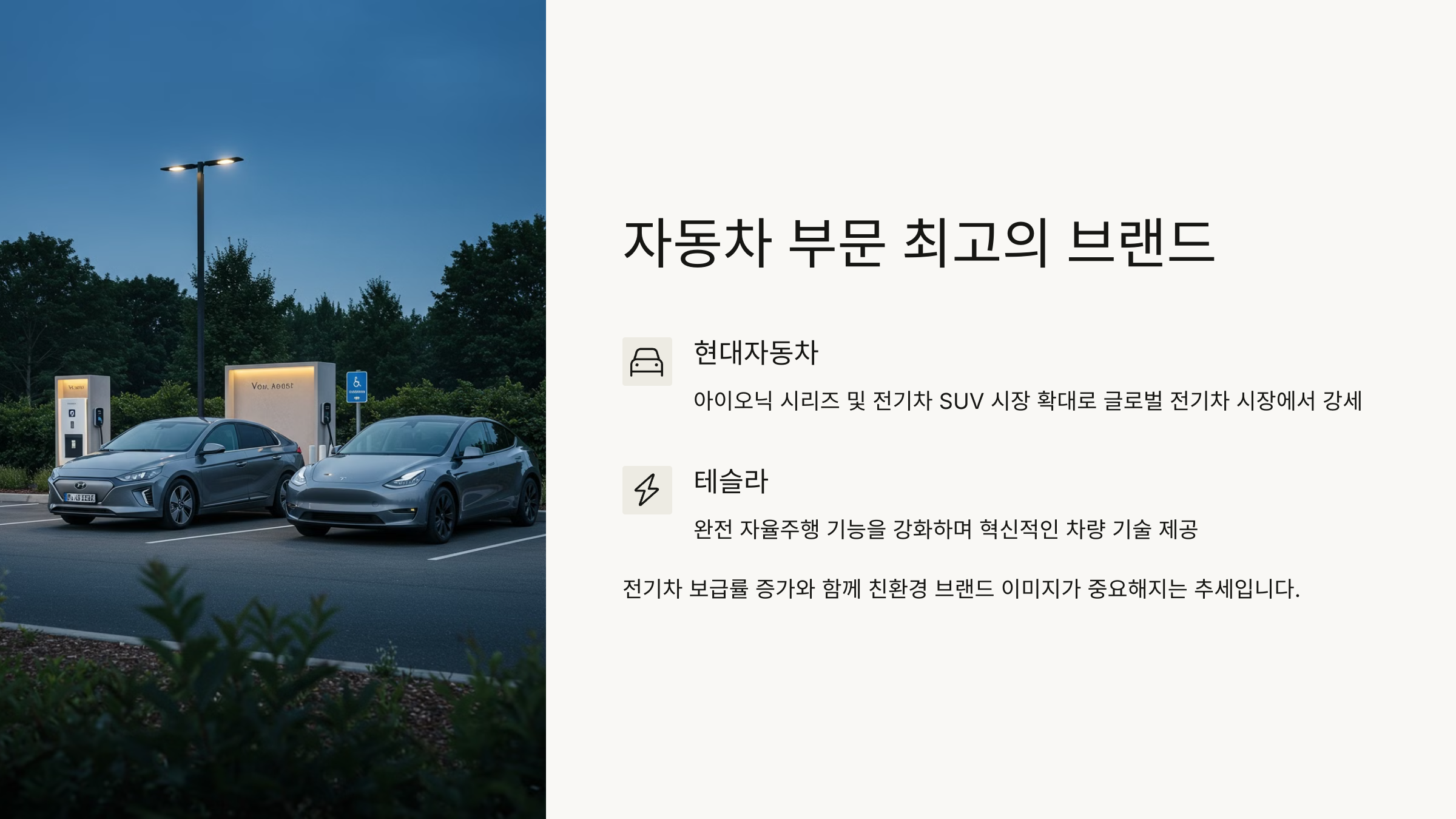 자동차 부문 최고의 브랜드 현대 테슬라
