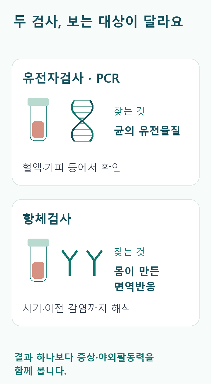 혈액 시험관과 유전물질&middot;항체 도식의 비교. PCR은 균의 유전물질, 항체검사는 몸의 면역반응을 확인. 검사 시기와 이전 감염을 해석하며 증상&middot;노출력도 함께 평가.
