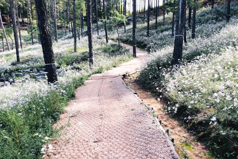 파주 율곡수목원