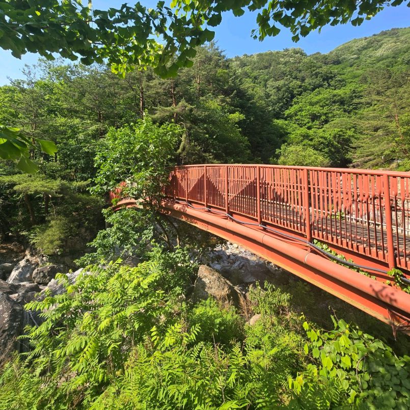 미천골자연휴양림