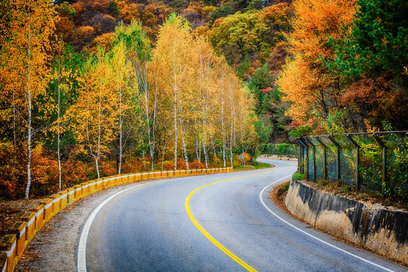 가을단풍드라이브