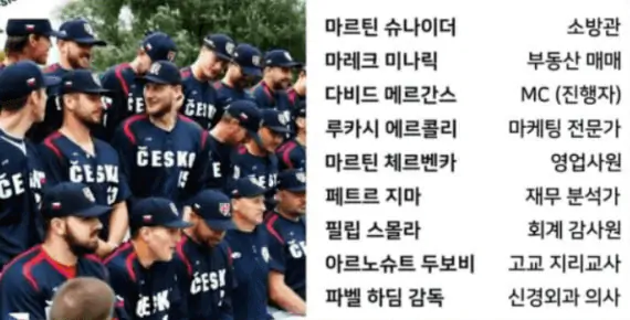 WBC 체코 선수 직업