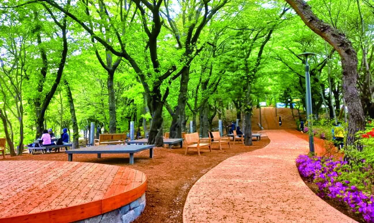서울 노원 초안산 수국동산