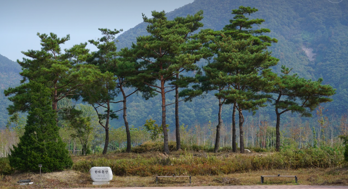 춘천 남이섬 이미지