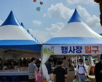 홍천 찰옥수수 축제_6