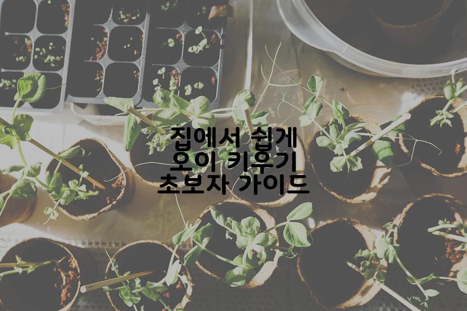 집에서 쉽게 오이 키우기 초보자 가이드