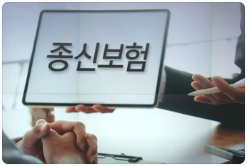 오래된 종신보험 활용 방법