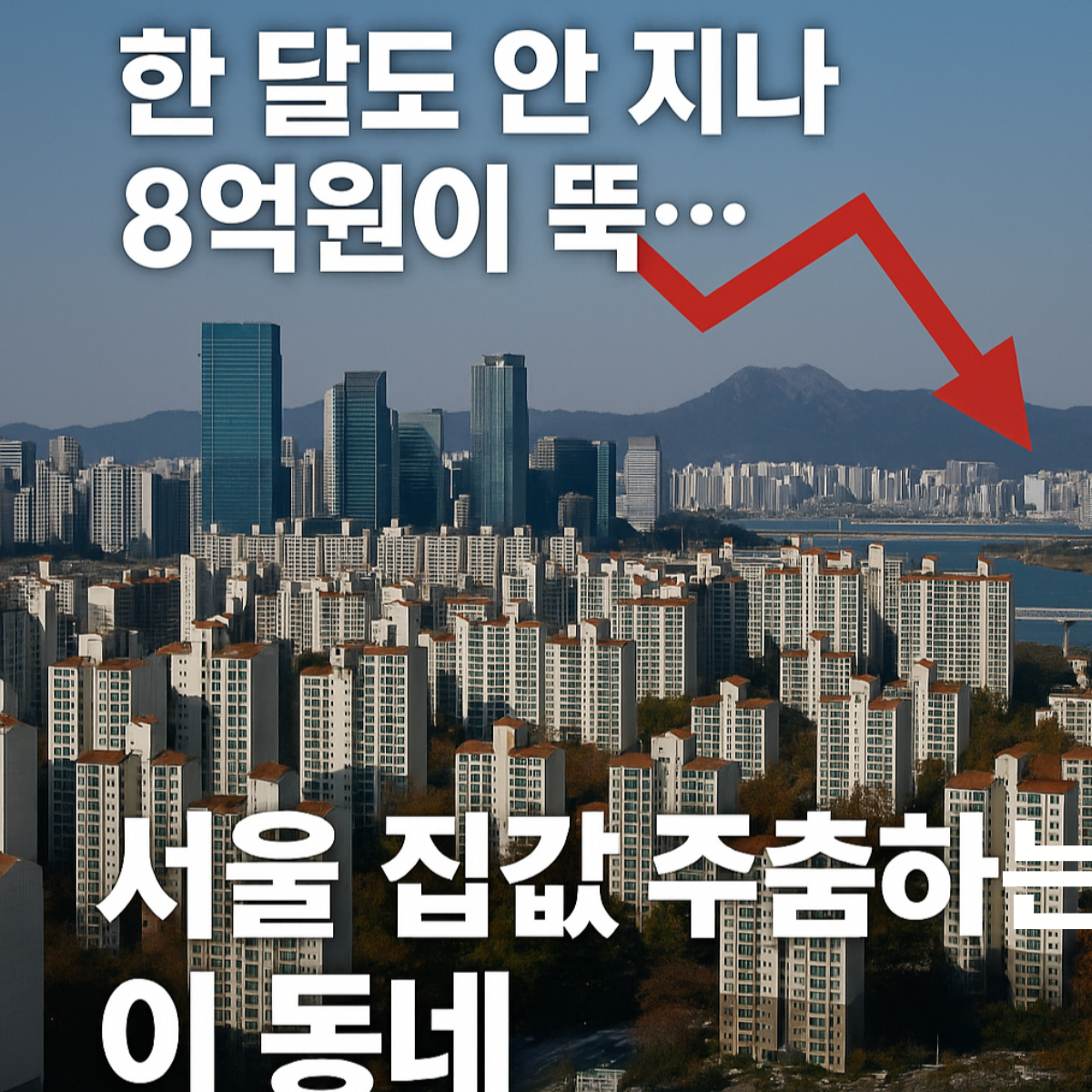 서울 남산에서 내려다본 대규모 아파트 단지 전경 모습