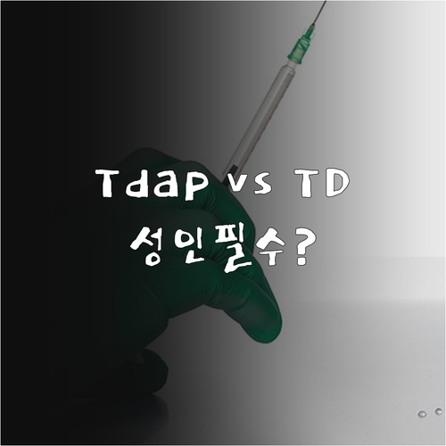 Tdap과 Td 차이 성인 백일해 추..
