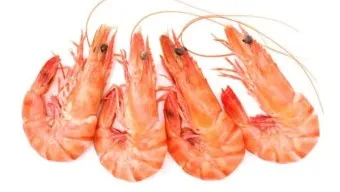 새우 요리 11가지 황금레시피_4