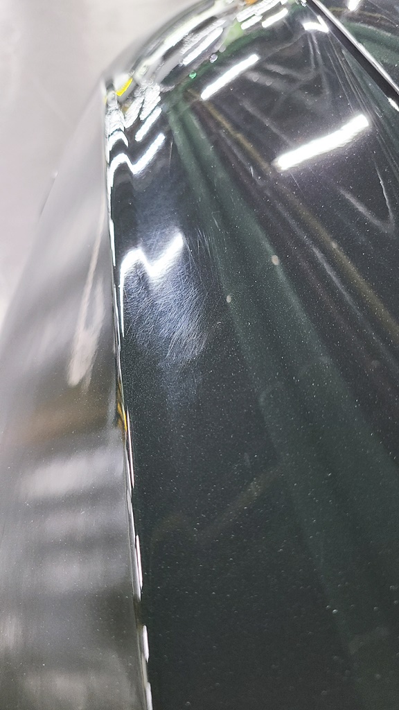 블루핸즈-보험수리