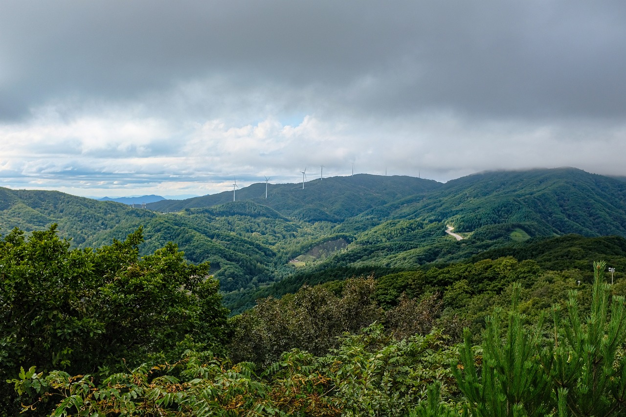 봄철 산행, 안전하게 즐기는 방법(체크리스트, 안전수칙, 명소)