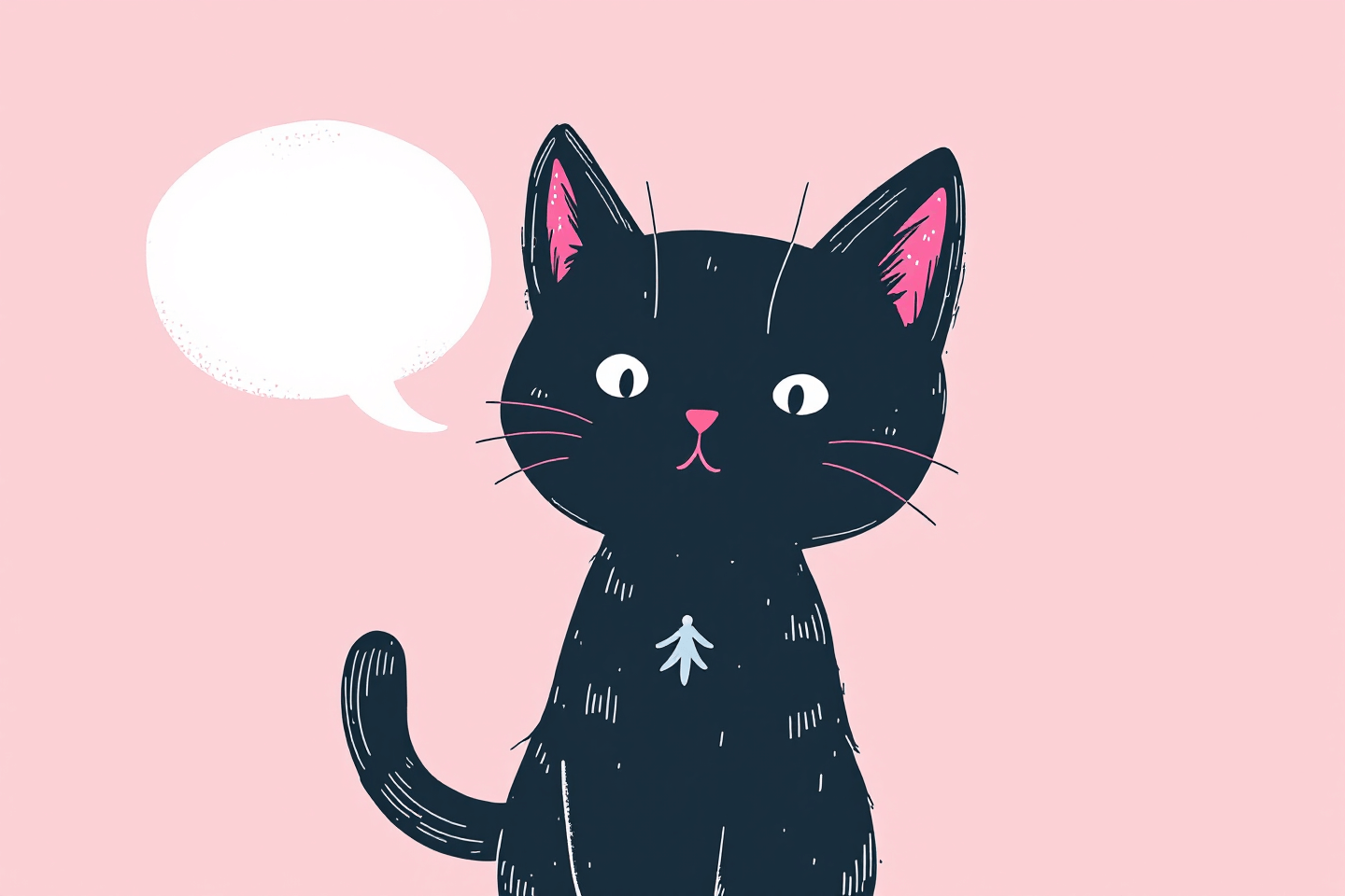 고양이 사진입니다.