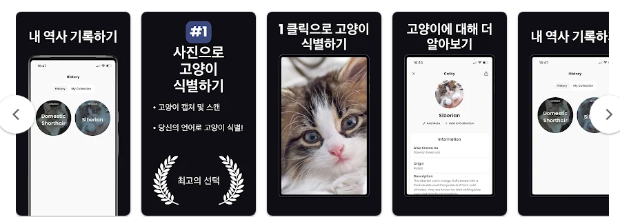 고양이 품종 찾기 앱, 고양이 품종 식별하기