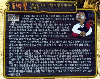 동백꽃 줄거리 김유정 단편소설 춘천_23