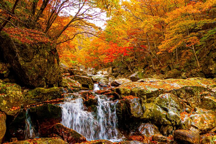 추천 지리산 가을 숲 산책 코스