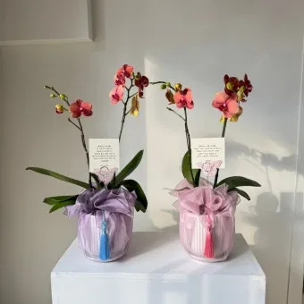 상견례 때 사돈 선물 추천 10선_4