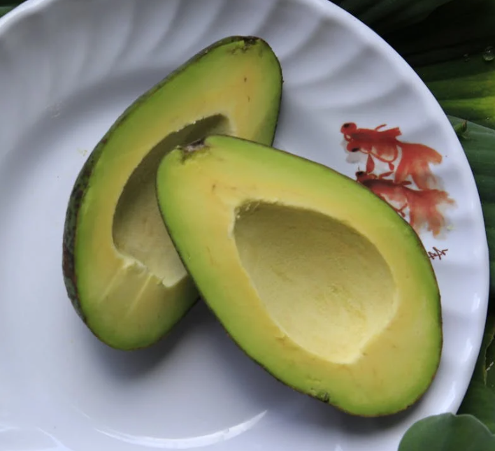 피부에 좋은 음식