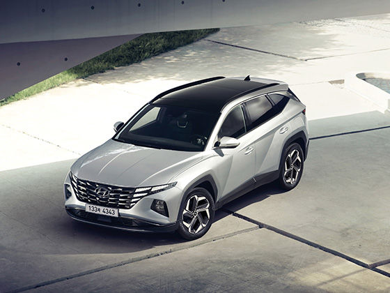 중고차 매매사이트