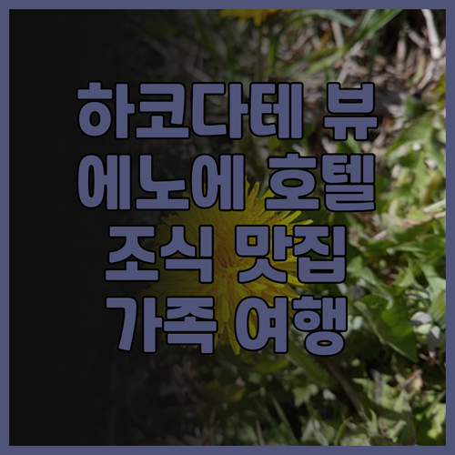 호텔 에노에 하코다테 숙박 후기! 하..