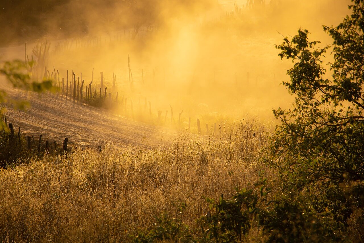 미세먼지가 폐 건강에 미치는 장기적인 영향-과학적 분석과 예방 전략
