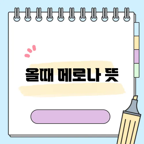 올때 메로나 뜻