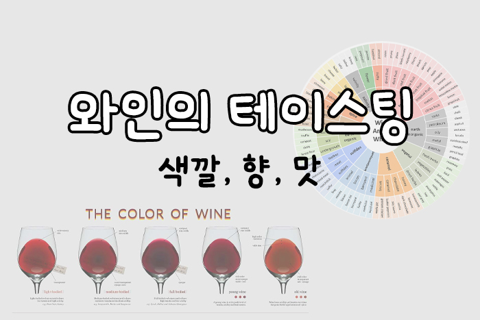 와인 테이스팅 기술