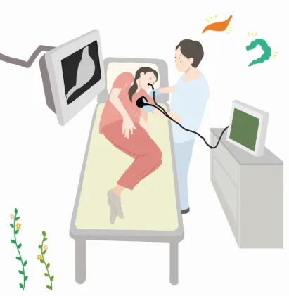 건강보험료 계산기