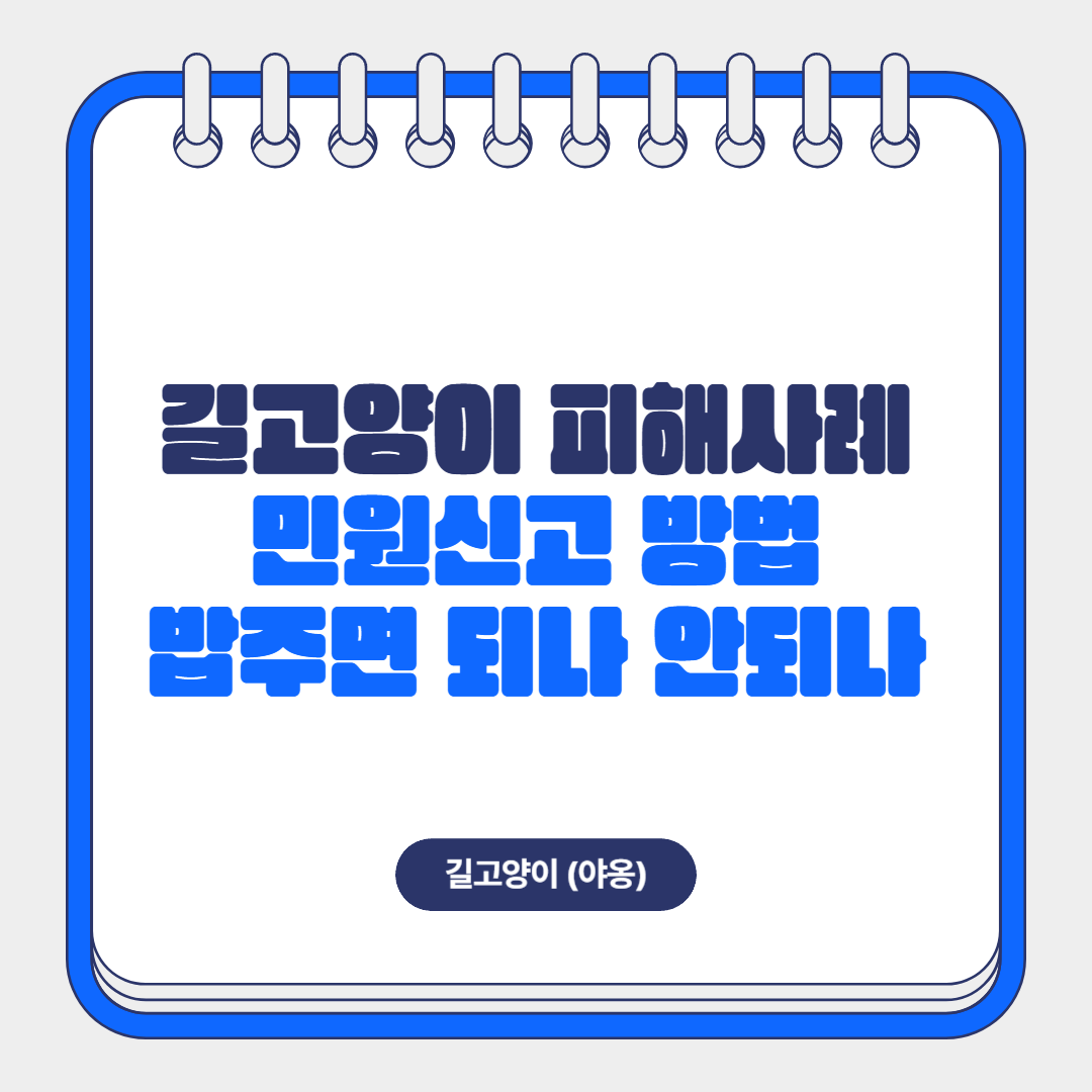 길고양이 피해 사례, 민원 신고 방법, 밥 주면 되나 안 되나