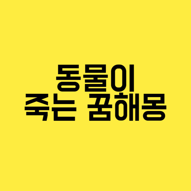 동물이 죽는 꿈해몽