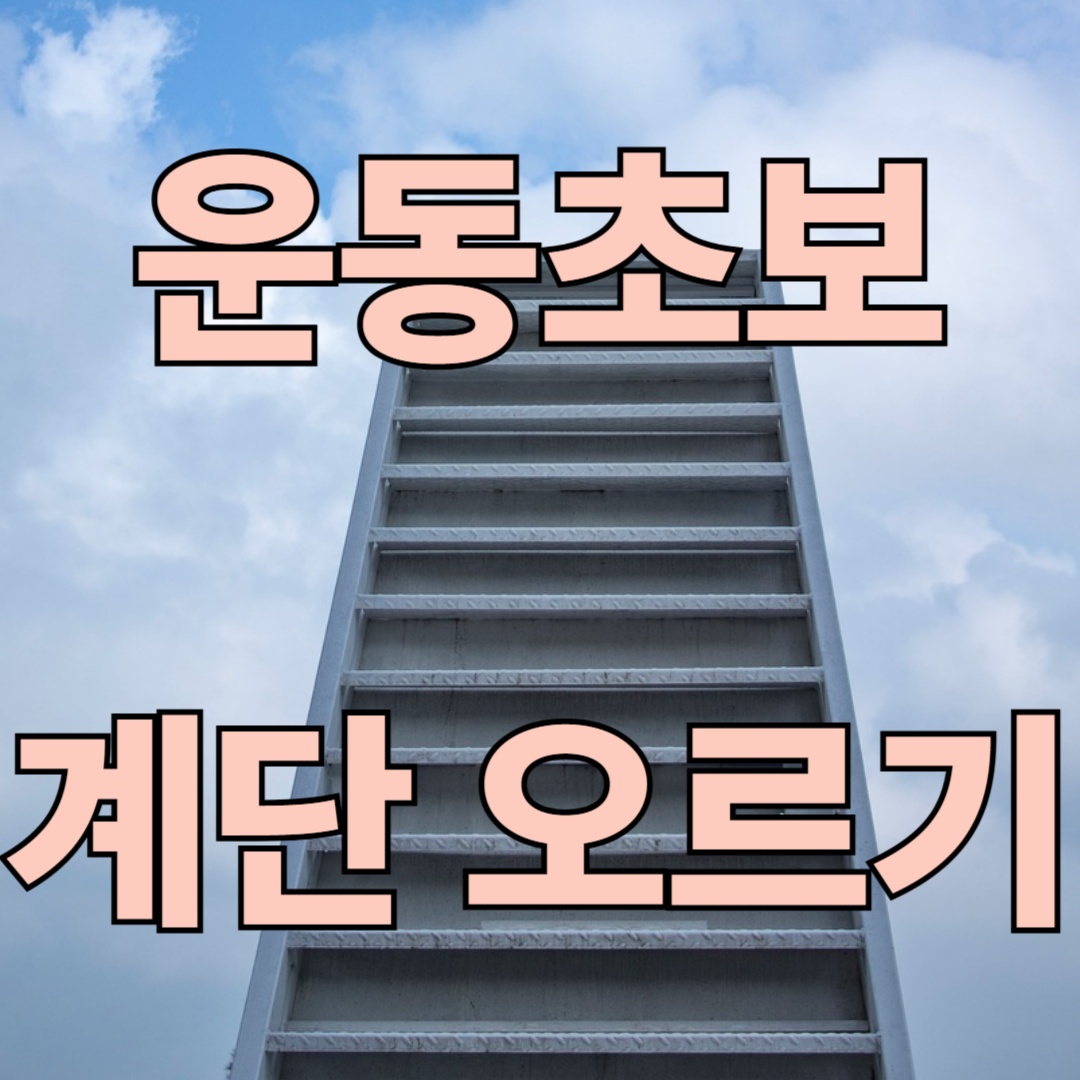 계단 오르기