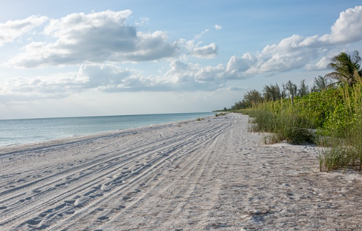 무인도 서바이벌 체험: 현대인의 생존 본능을 깨우다