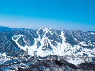 2024/2025 시즌권 가격
