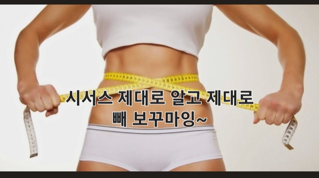 시서스 다이어트