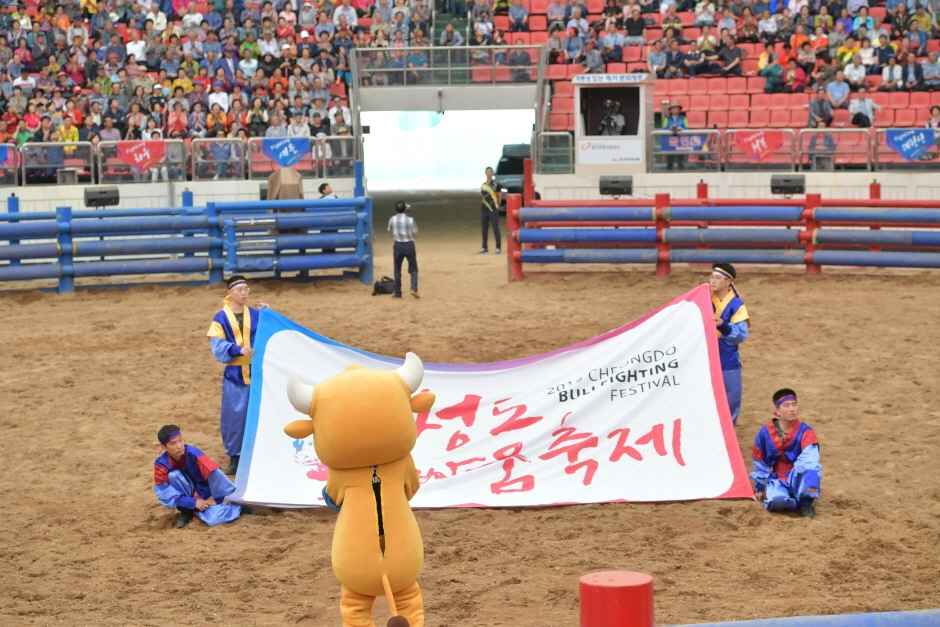청도 소싸움경기장
